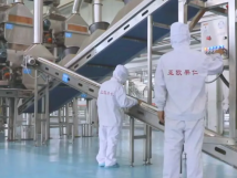 2025年的第一個(gè)月，承德亞歐果仁有限公司在山杏產(chǎn)業(yè)的道路上持續(xù)奮進(jìn)，展現(xiàn)出蓬勃的發(fā)展活力。